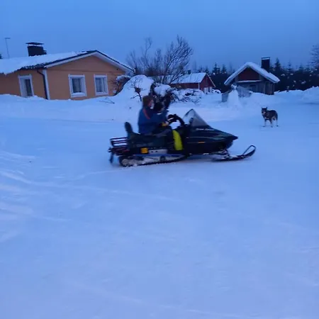 Metsaelae * Kortteinen